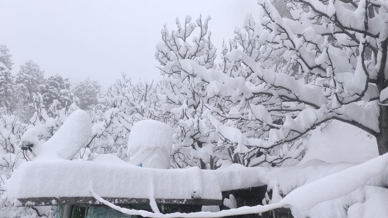 Himachal Weather: Heavy rain and snowfall in the state, avalanche in Lahaul-Chamba; Educational institutions c