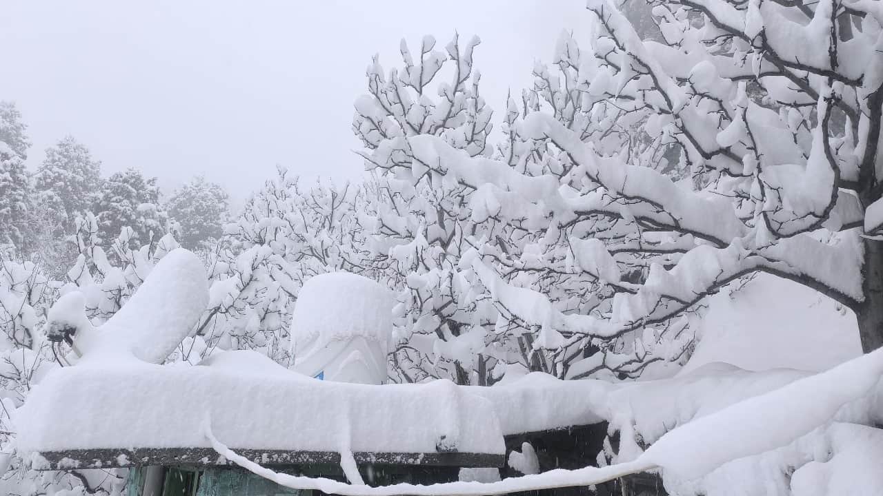 हिमाचल में बारिश-बर्फबारी के आसार।