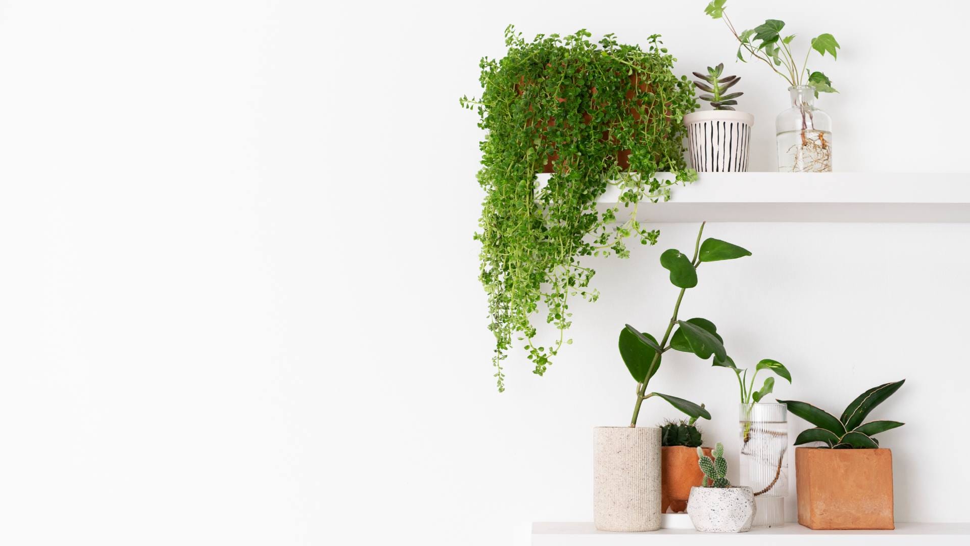 Low Budget Home Decor Tips Stylish home decor is no longer expensive Try these affordable ideas disprj