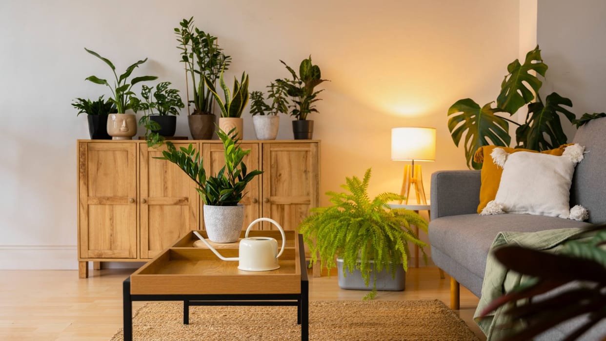 Low Budget Home Decor Tips Stylish home decor is no longer expensive Try these affordable ideas disprj