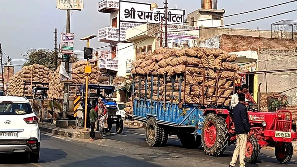Tractor-trolleys loaded with potatoes are creating jams