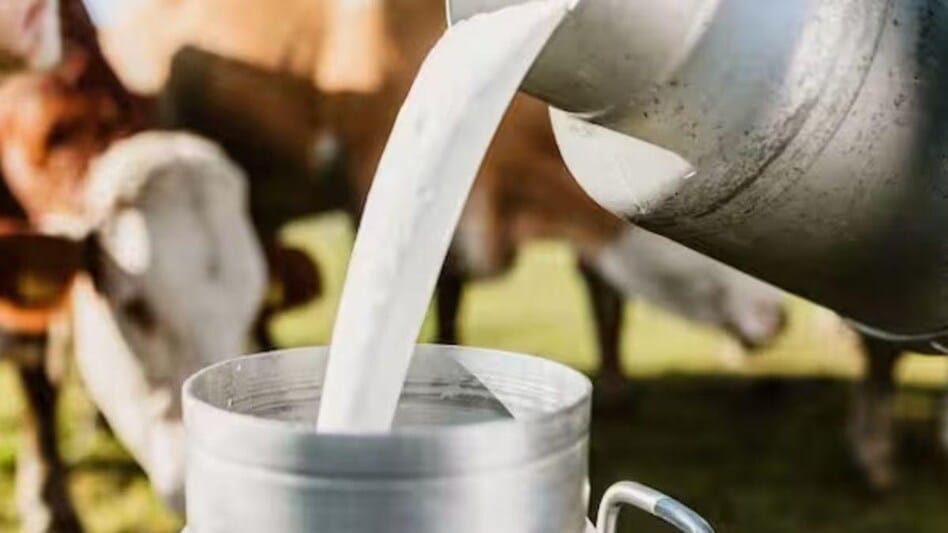 Indore: Milk will become costlier by two rupees from March 1, now it will be available at Rs 62 per liter