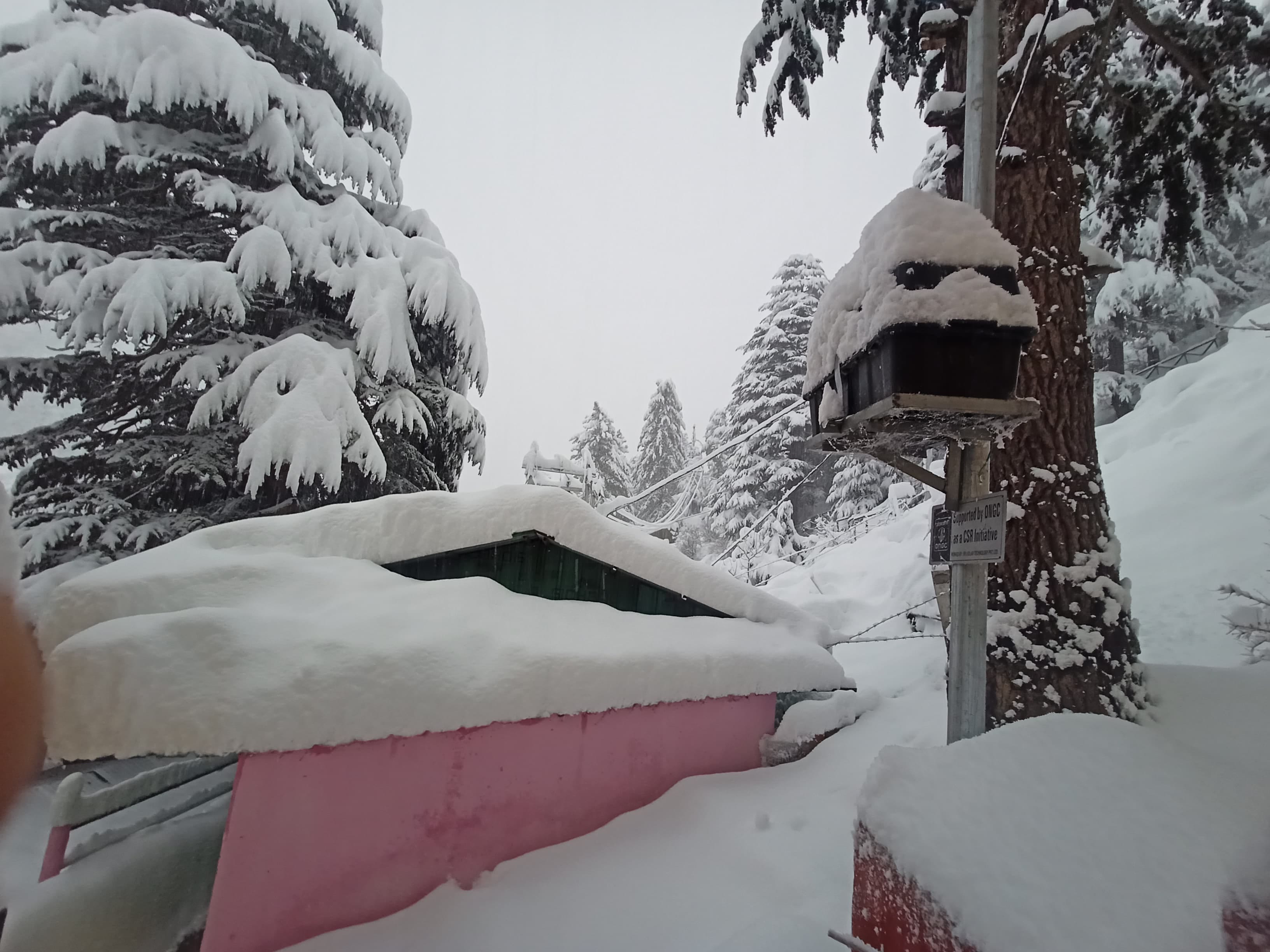 Uttarakhand Weather Today Heavy Snowfall in Gangotri Yamunotri badrinath kedarnath Beautiful View