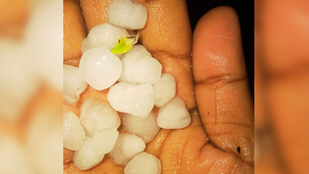 Hailstorm in Azamgarh Clouds rained with thunder and lightning wheat crops damaged