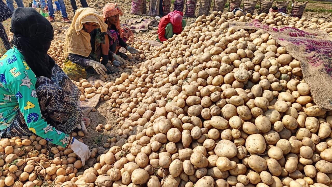 pain of potato farmers Research Center and Food Processing Unit dreaming for six years