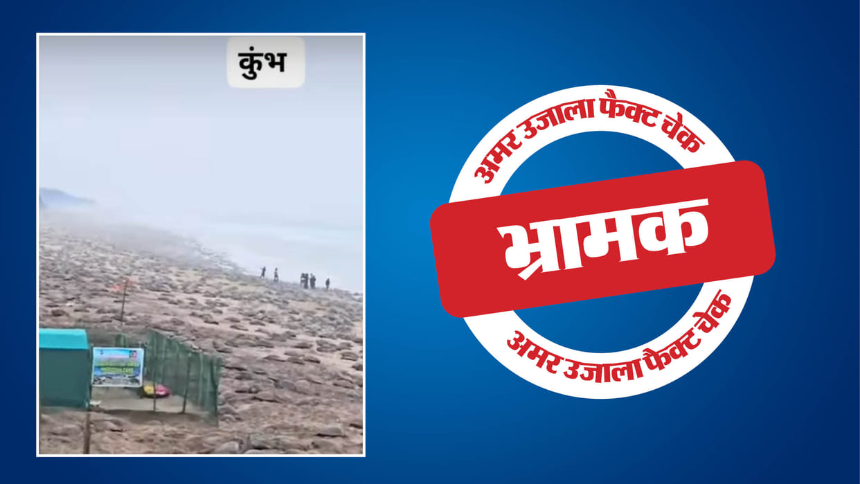 A video of a herd of turtles emerging from the sea is being shared as that of Maha Kumbh
