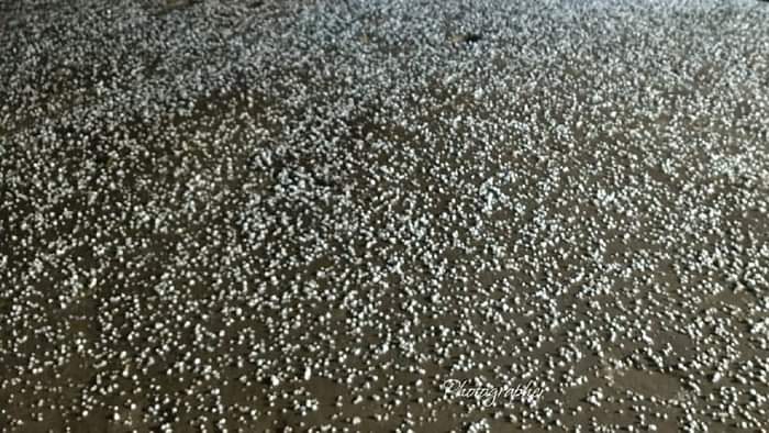 Heavy hailstorm along with rain in these districts including Lakhimpur Kheri