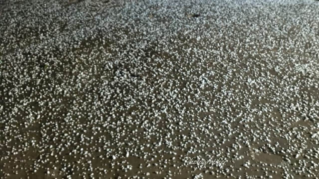 Heavy hailstorm along with rain in these districts including Lakhimpur Kheri