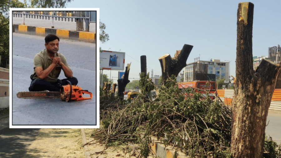 Indore News Resident Protests Tree Cutting for Flyover, Snatches Equipment and Blocks Road