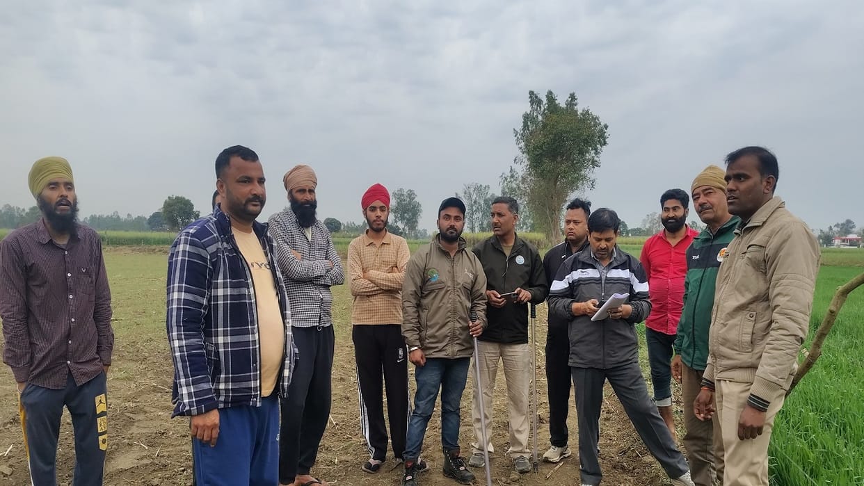 elephants trampled wheat and sugarcane crops in Pilibhit