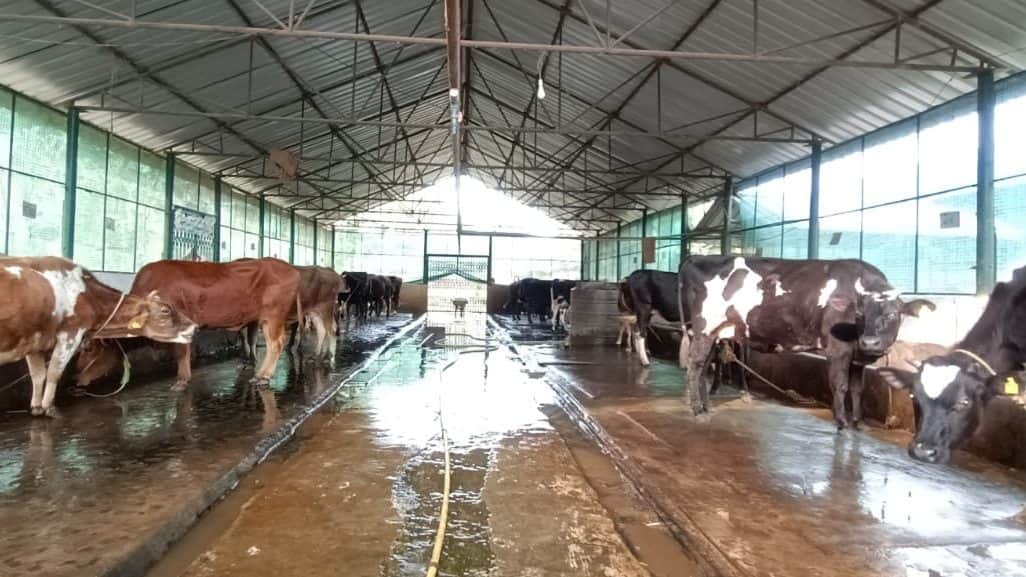 सांकेतिक तस्वीर