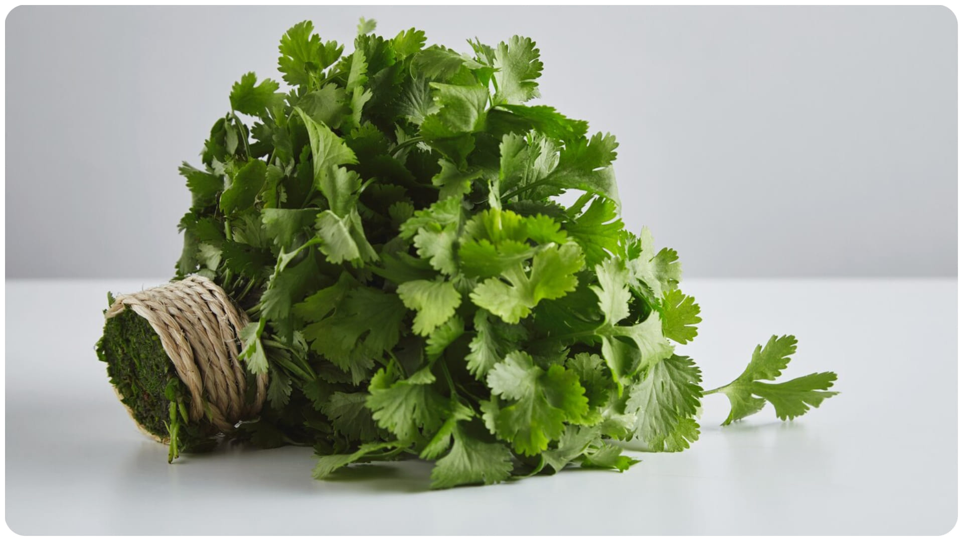 coriander leaves nutritional value and health benefits dhaniya ki patti khane ke fayde