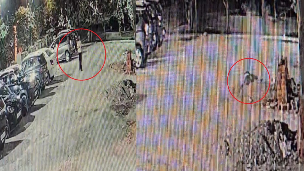 Raipur: A young woman died after falling from the 11th floor of a building in Raipur, CCTV footage surfaced