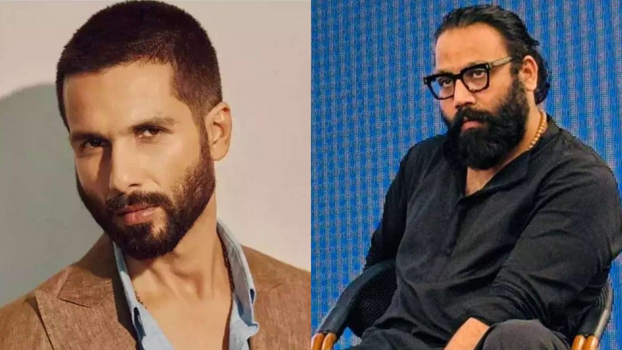 Sandeep Reddy Vanga tells why he did not caste shahid kapoor in animal