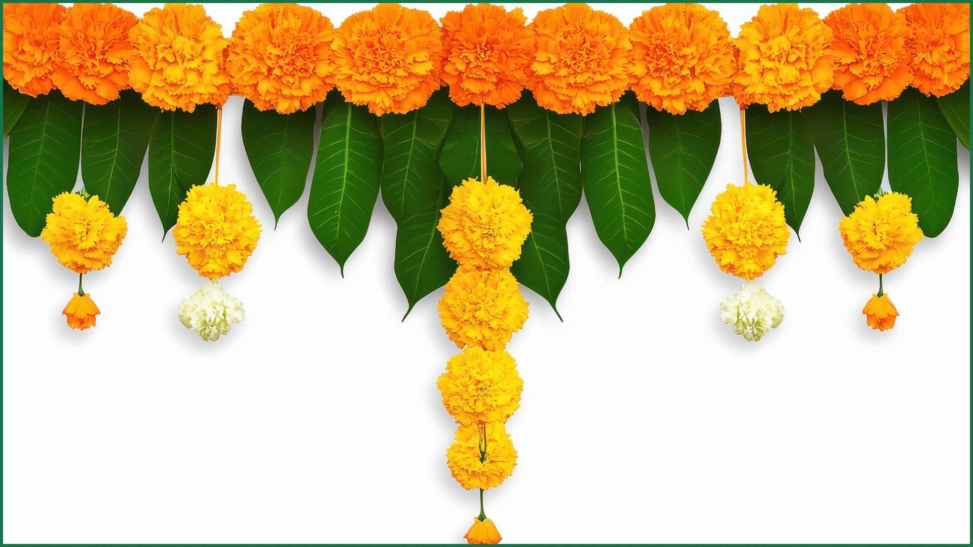 Holi 2025 Vastu Tips How to Remove Negative Energy from Home News in Hindi