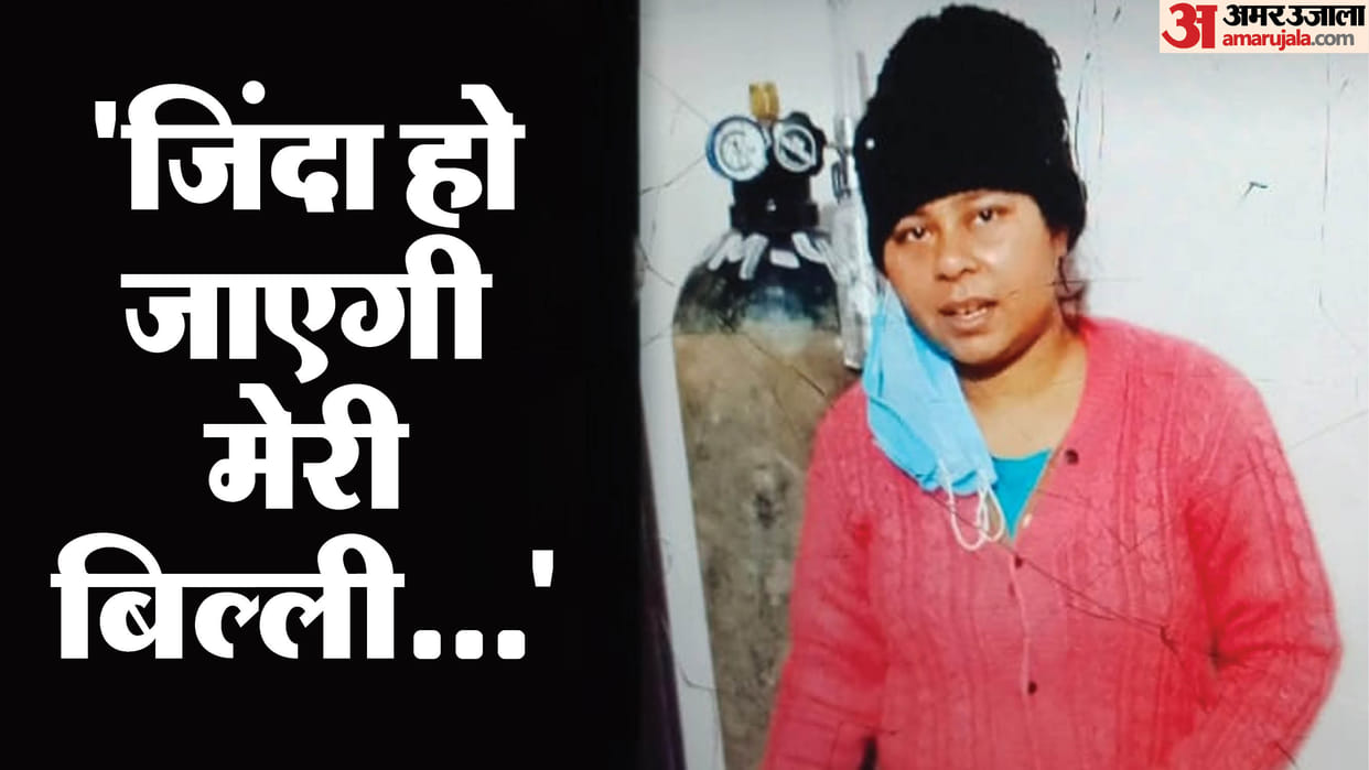 Woman committed suicide Shocked by death of a pet cat in Amroha