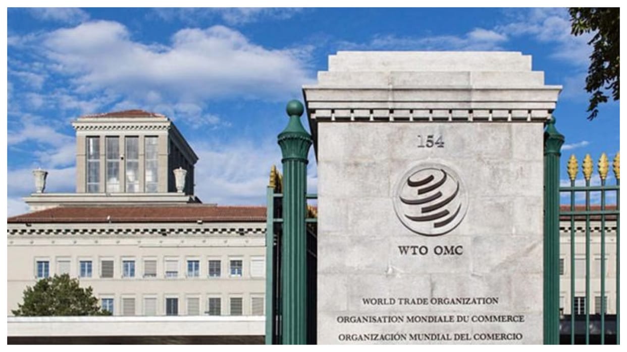 WTO chief appeals to India, Support China's investment facilitation proposal