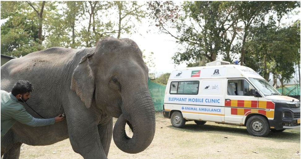 Country first elephant mobile clinic service launched