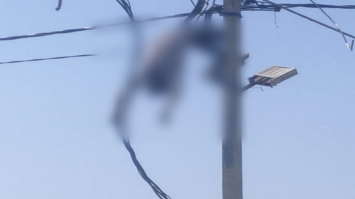 worker died due to electric shock while changing electric wire his body hanging on the pole in budaun