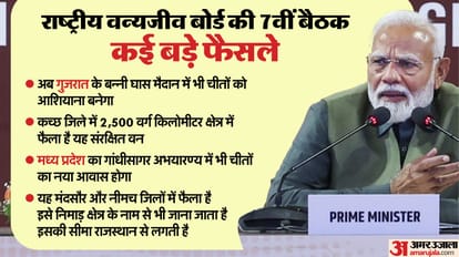PM Modi Chaired National Board for Wildlife Meeting in Gir first-ever riverine dolphin estimation report news