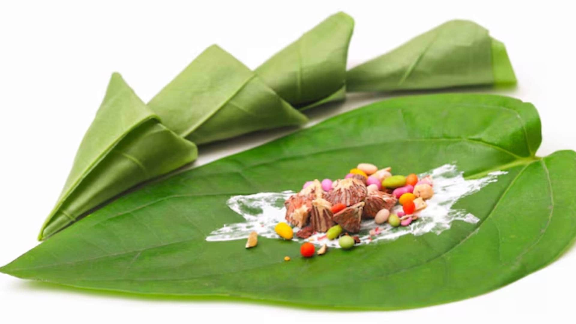Katha Benefits More than taste catechu used in betel leaves is a treasure of health know its benefits disprj