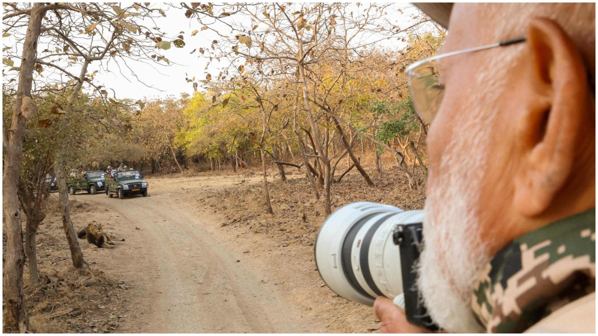 PM Modi Gujarat Visit: PM Narendra Modi Takes Lion Safari at Gir Wildlife Sanctuary on World Wildlife Day