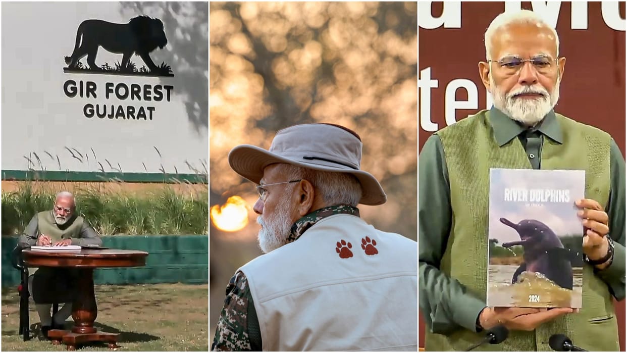 PM Modi will preside over the NBWL meeting today Gujarat Visit Update in hindi