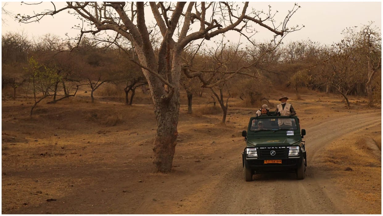 world wildlife day pm modi goes on lion safari in Gujarat NBWL meeting