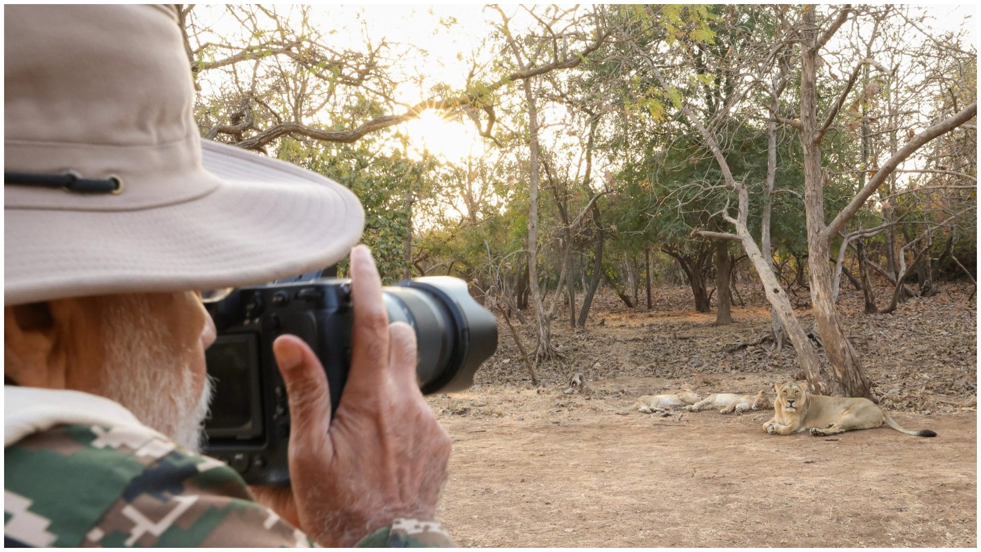 PM Modi Gujarat Visit: PM Narendra Modi Takes Lion Safari at Gir Wildlife Sanctuary on World Wildlife Day