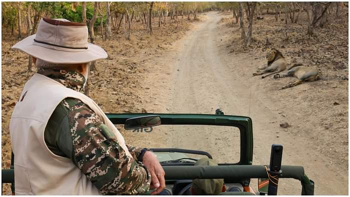 PM Modi Gujarat Visit: PM Narendra Modi Takes Lion Safari at Gir Wildlife Sanctuary on World Wildlife Day