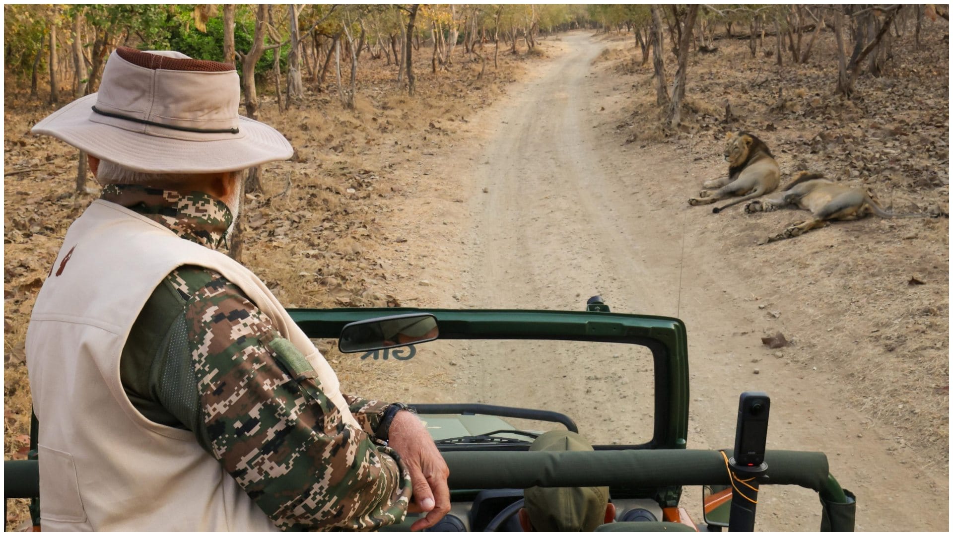 PM Modi Gujarat Visit: PM Narendra Modi Takes Lion Safari at Gir Wildlife Sanctuary on World Wildlife Day