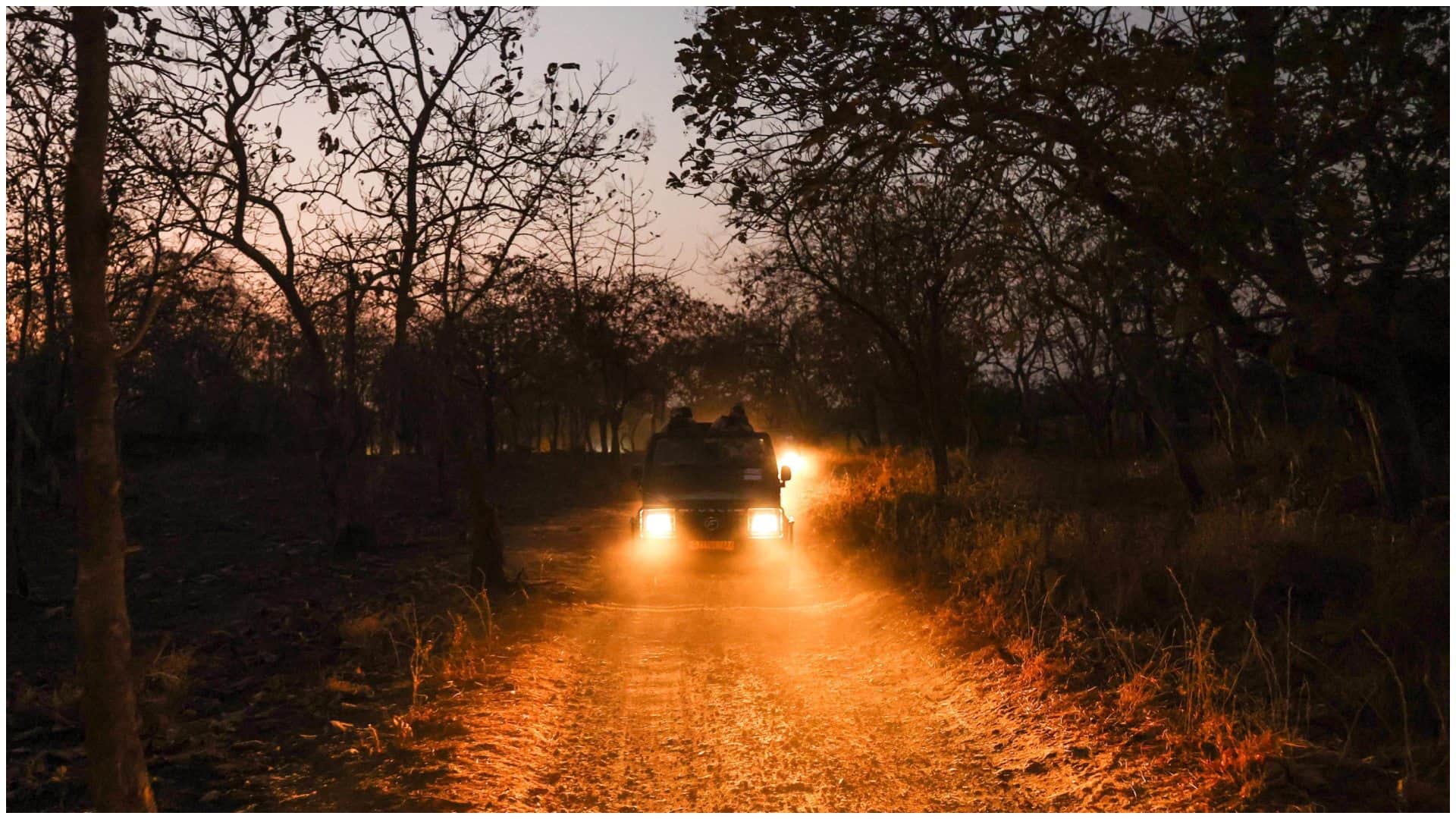 Best and safe Wildlife destination in India for perfect forest getaway Bharat ke prasidh jungle safari
