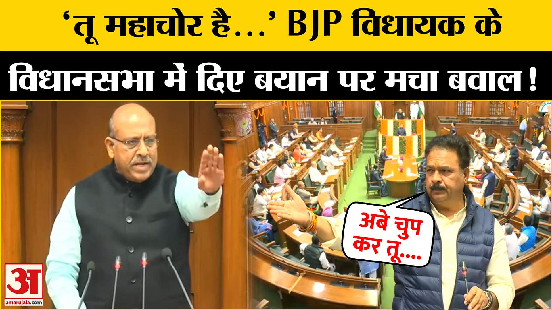 दिल्ली विधानसभा में हुआ जोरदार हंगामा, स्पीकर ने दी नसीहत, ऐसे संभली बात !