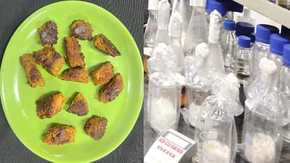 country's first vegetarian mushroom that tastes like chicken and mutton is ready, will be available in the ma