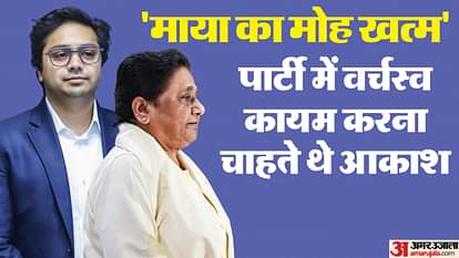 Mayawati did not like Akash dominance in party and his support for alliance so action was taken