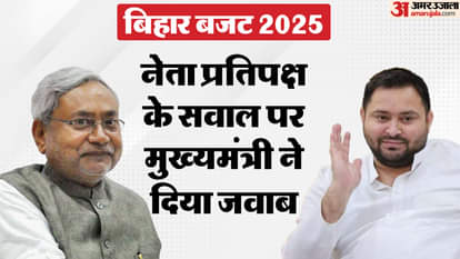 सीएम नीतीश कुमार और नेता प्रतिपक्ष तेजस्वी यादव ने दिया जवाब।