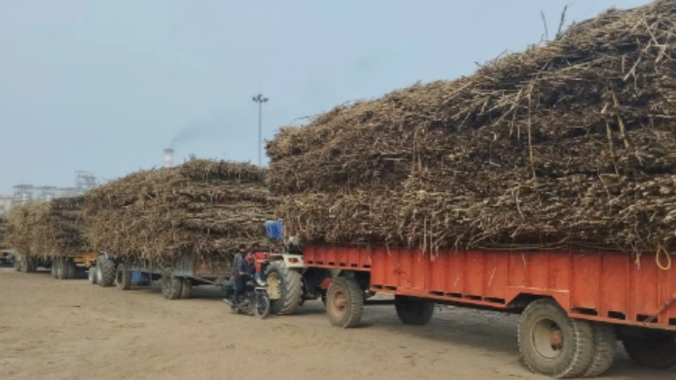 Baghpat: Holi will be colorful with the first sugarcane payment of farmers, Malkapur mill will soon fill its p