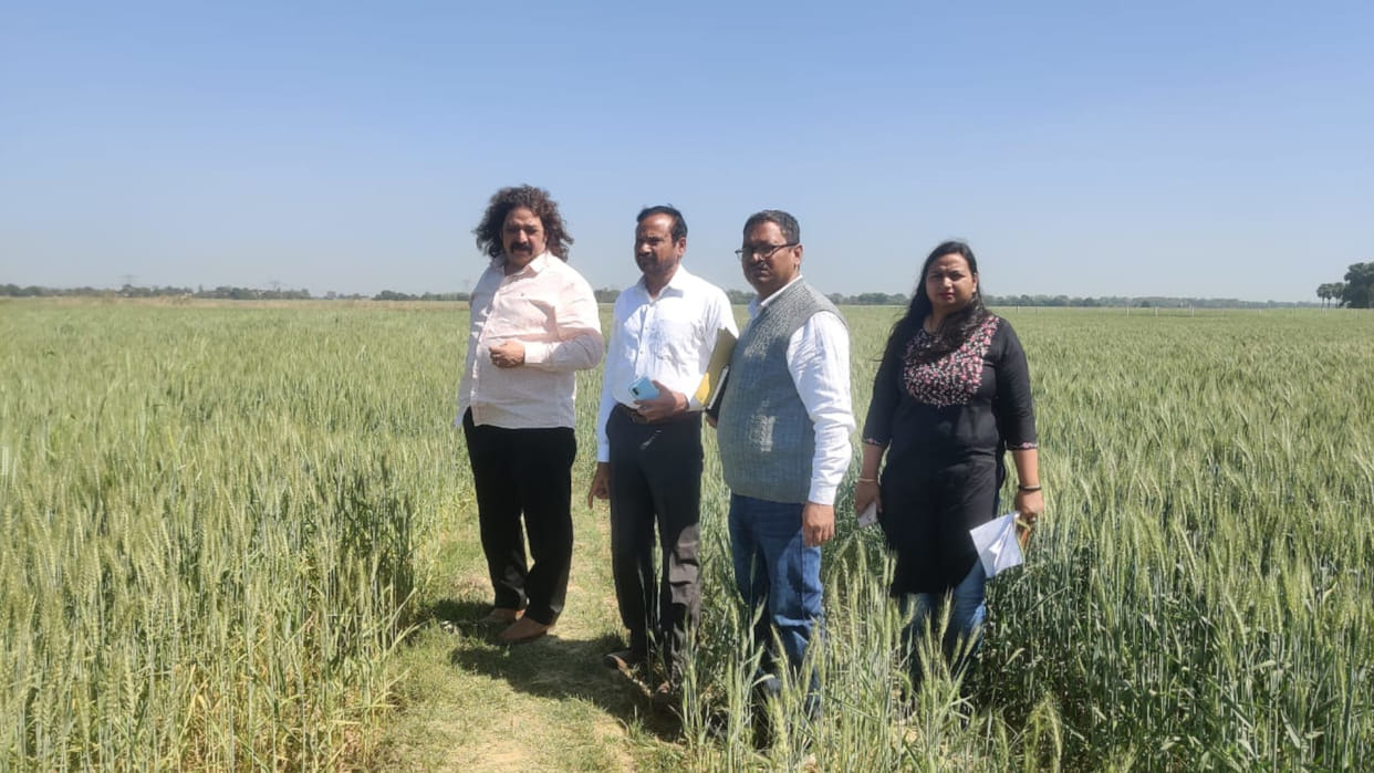 In Gorakhpur,  International cricket stadium will be built in Tal Nadaur. news in hindi
