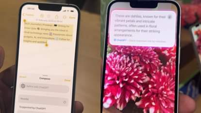 ios 18 Visual Intelligence