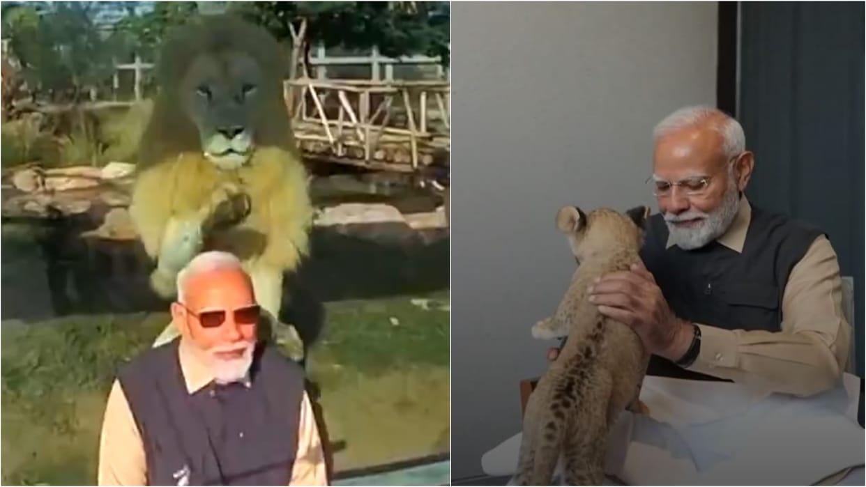 PM modi inaugurated Vantara—India’s pioneering wildlife rescue, rehabilitation and conservation centre gujarat