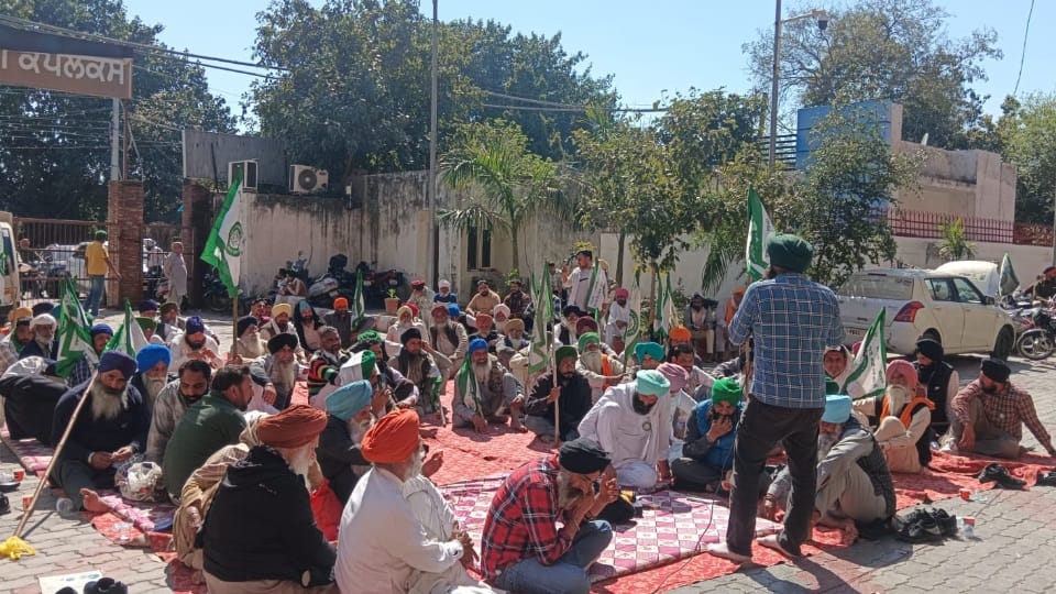 Farmers sit on dharna at Mini Secretariat in Amritsar for compensation for damage caused by hailstorm