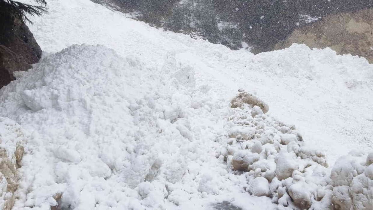 Avalanche alert issued for high-altitude areas of Sikkim