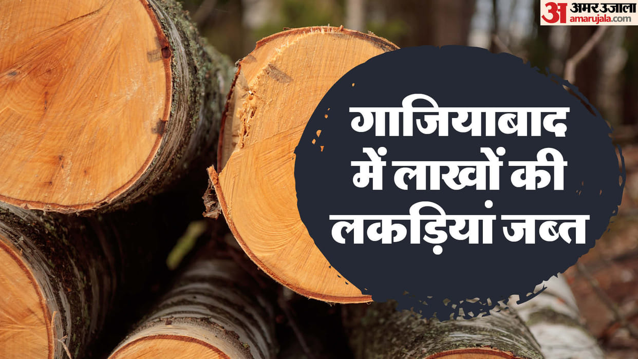 Banned Khair wood worth Rs 30 lakh seized in Ghaziabad