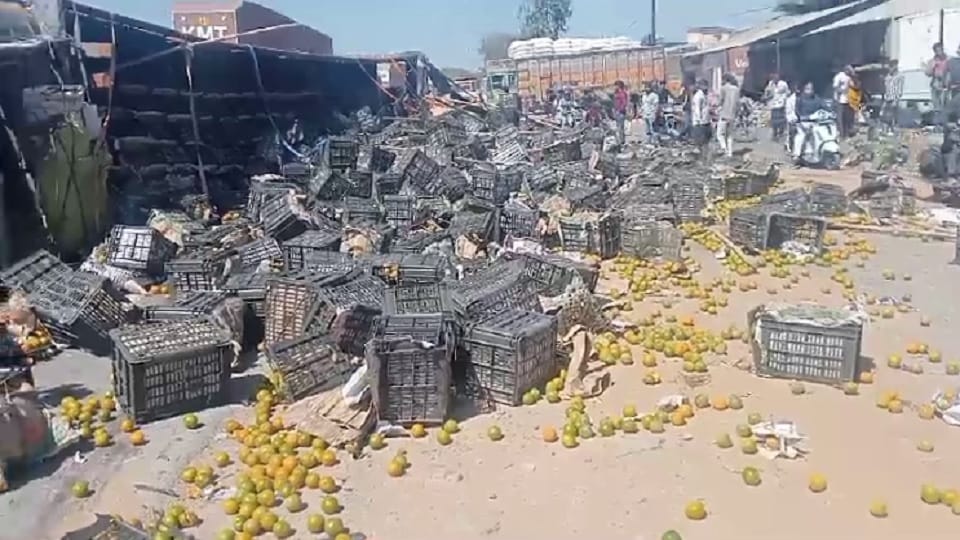 A truck loaded with oranges overturned on Jhansi-Shivpuri highway