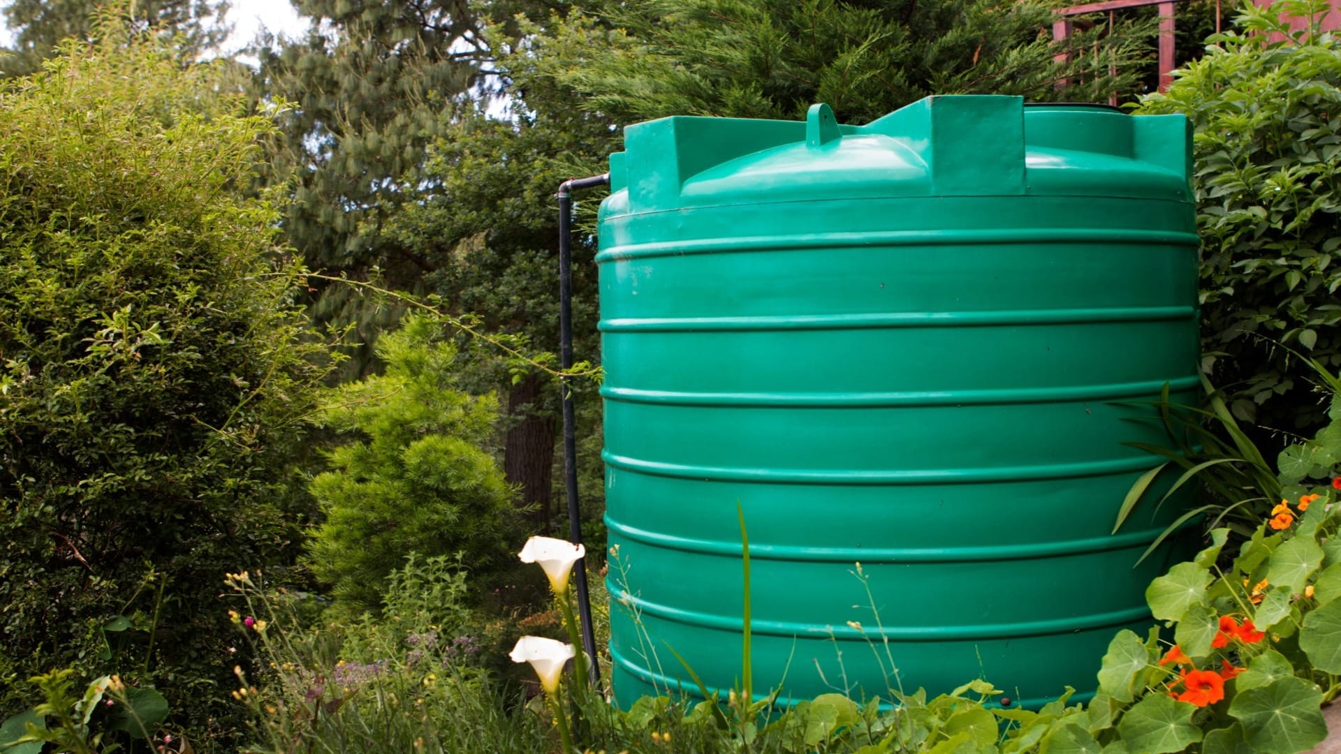 How to clean water tank know pani ki tanki ko kaise saaf karen