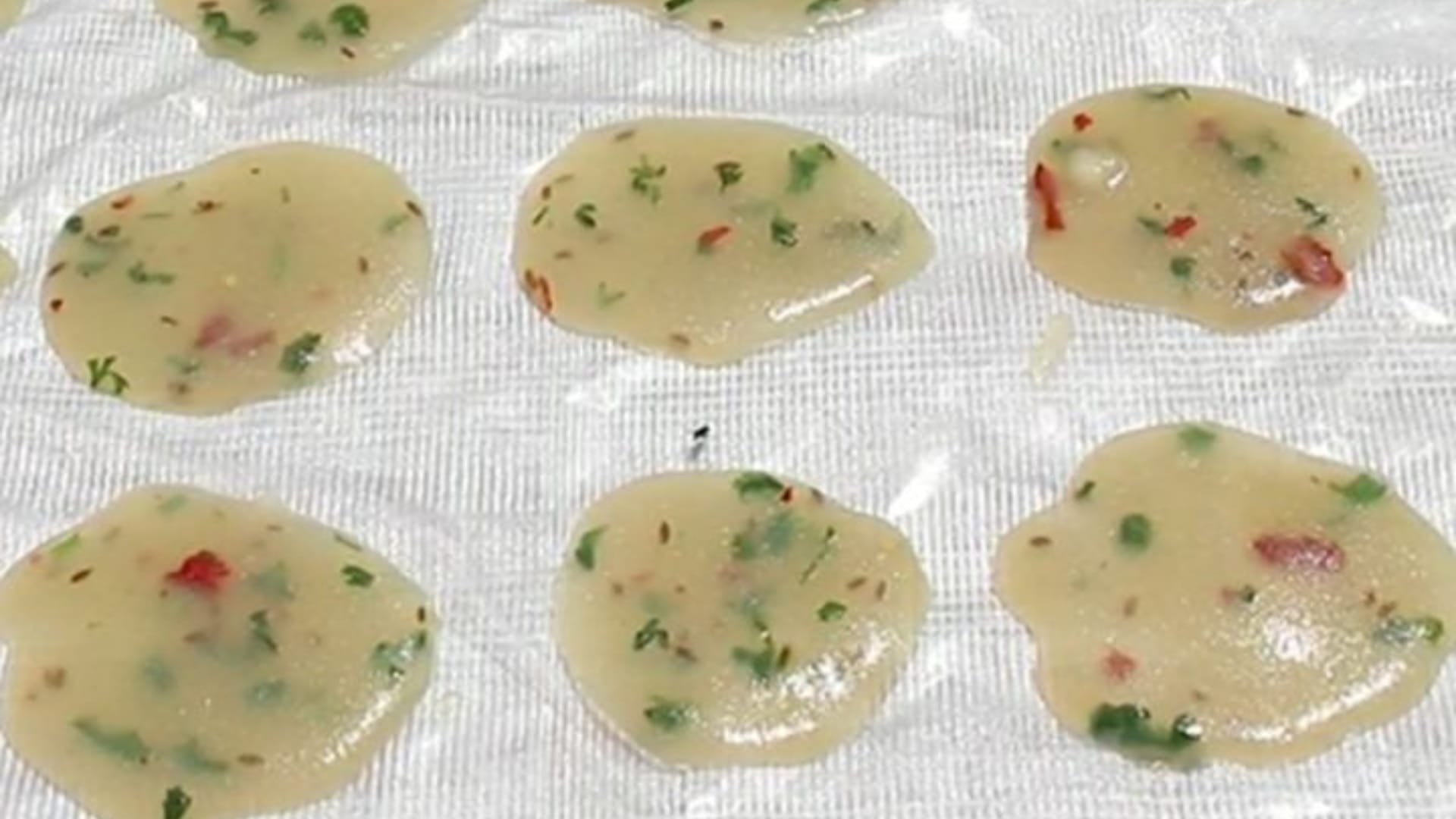 Holi 2025 special Instant Papad Recipe prepare in one day Ghar par tasty papad kaise banaein jaane vidhi