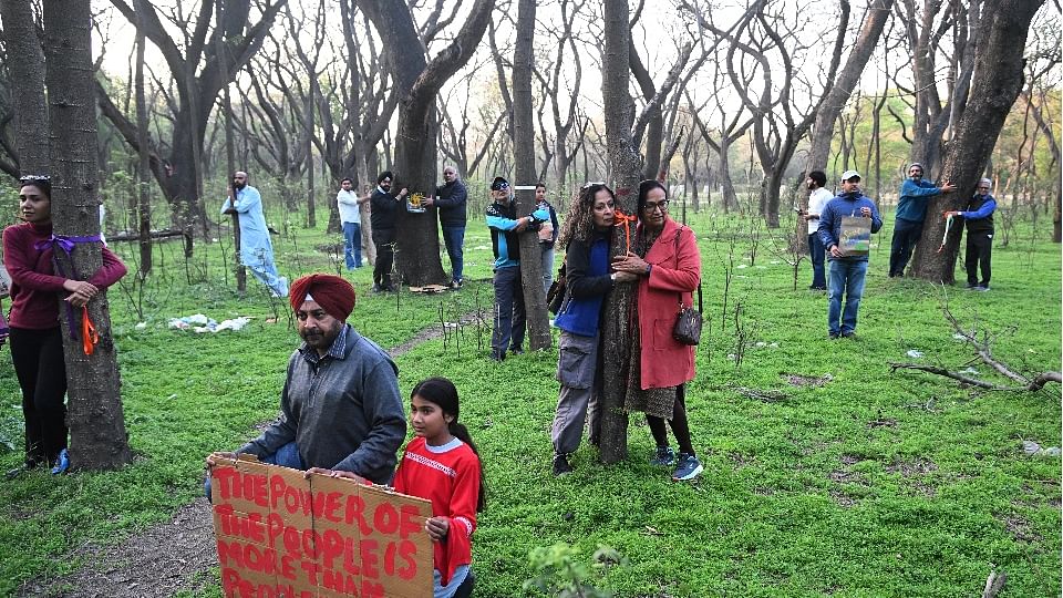 People started Chipko Andolan to save trees in Chandigarh