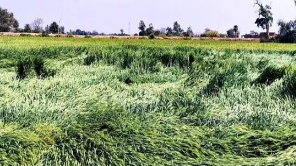 Weather in West UP: Wind blew at a speed of 25 km per hour, temperature dropped