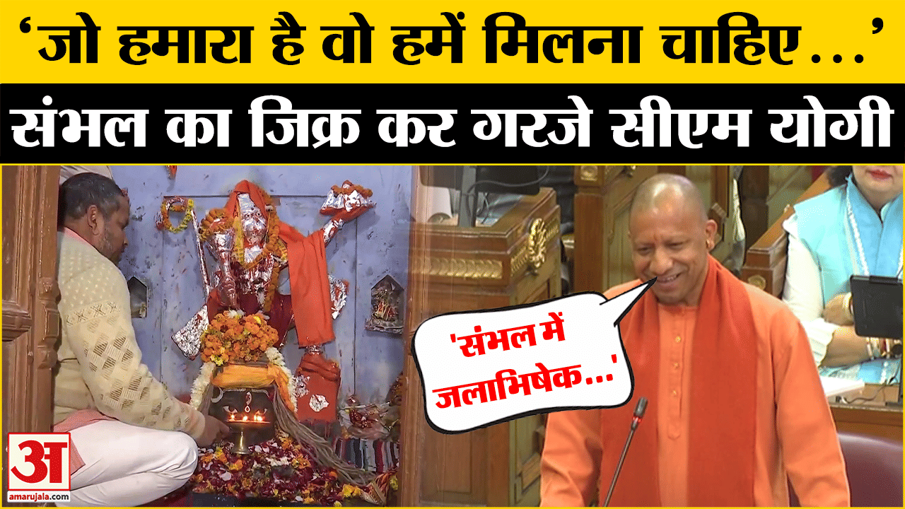 UP Vidhan Sabha में CM Yogi ने Sambhal का क्यों जिक्र? Sambhal Case