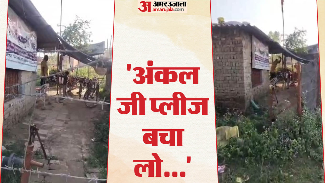 Horrible punishment for plucking flowers 8-year-old child tied and beaten video goes viral